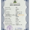 Authentic Nigeria Birth Certificate Template | Customize and Download Online