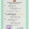 Authentic North Korea Birth Certificate Template | Customize and Download Online