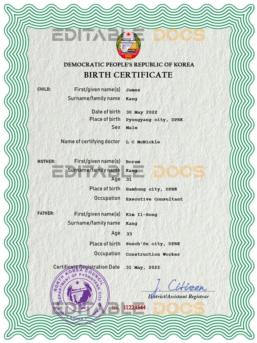 Authentic North Korea Birth Certificate Template | Customize and Download Online