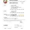 Authentic North Korea Birth Certificate Template | Customize and Download Online