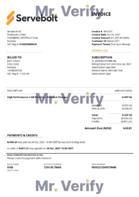 High-Quality Norway Servebolt high performance hosting company Invoice Template PDF | Fully Editable