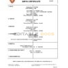Authentic Norway Birth Certificate Template | Customize and Download Online