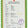 Authentic Norway Birth Certificate Template | Customize and Download Online