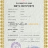 Authentic Oman Birth Certificate Template | Customize and Download Online