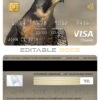 Editable Pakistan The bank of Khyber visa classic card Templates in PSD Format