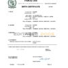 Authentic Pakistan Birth Certificate Template | Customize and Download Online