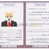Pakistan dog Fake PSD Passport | Instant Download