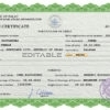 Authentic Palau Birth Certificate Template | Customize and Download Online