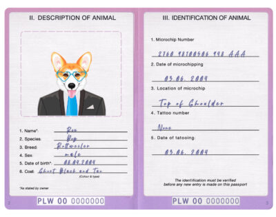 Palau dog Fake PSD Passport | Instant Download