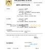 Authentic Palestine Birth Certificate Template | Customize and Download Online