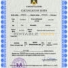 Authentic Palestine Birth Certificate Template | Customize and Download Online