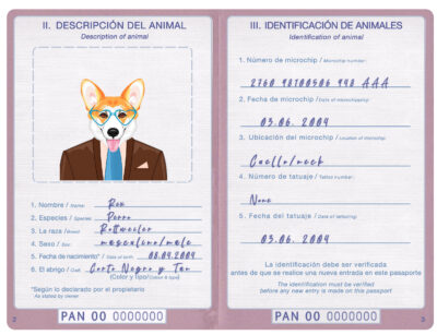 Panama dog Fake PSD Passport | Instant Download