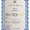 Authentic Panama Birth Certificate Template | Customize and Download Online