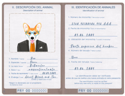 Paraguay dog Fake PSD Passport | Instant Download