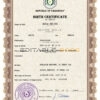 Authentic Paraguay Birth Certificate Template | Customize and Download Online