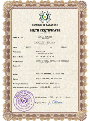 Authentic Paraguay Birth Certificate Template | Customize and Download Online