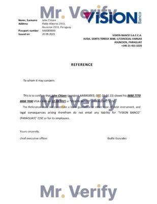 Download Paraguay Vision Banco Bank Reference Letter Templates Editable Word