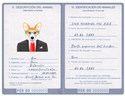 Peru dog Fake PSD Passport | Instant Download
