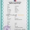 Authentic Philippines Birth Certificate Template | Customize and Download Online