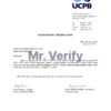 Download Philippines UCPB Bank Reference Letter Templates | Editable Word