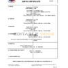 Authentic Philippines vital record Birth Certificate Template | Customize and Download Online