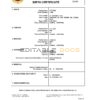 Authentic Portugal Birth Certificate Template | Customize and Download Online