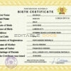 Authentic Portugal Birth Certificate Template | Customize and Download Online