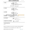 Authentic Qatar vital record Birth Certificate Template | Customize and Download Online