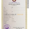 Authentic Qatar Birth Certificate Template | Customize and Download Online