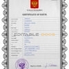 Authentic Russia Birth Certificate Template | Customize and Download Online