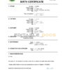 Authentic Rwanda Birth Certificate Template | Customize and Download Online