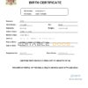 Authentic Saint Kitts and Nevis vital record Birth Certificate Template | Customize and Download Online