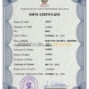 Authentic Saint Kitts Birth Certificate Template | Customize and Download Online