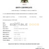 Authentic Saint Lucia Birth Certificate Template | Customize and Download Online