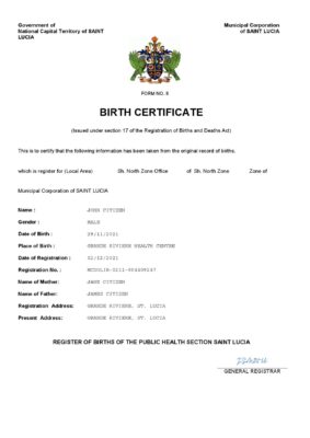 Saint Lucia birth certificate Word and PDF template, completely editable