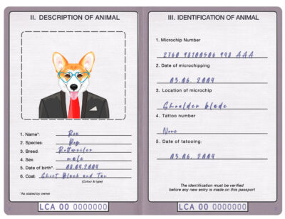 Saint Lucia dog Fake PSD Passport | Instant Download