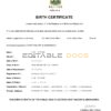 Authentic Saint Vincent & Grenadines vital Birth Certificate Template | Customize and Download Online