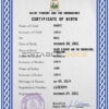 Authentic Saint Vincent and the Grenadines Birth Certificate Template | Customize and Download Online