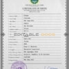Authentic Salvador vital record Birth Certificate Template | Customize and Download Online