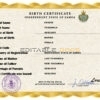 Authentic Samoa Birth Certificate Template | Customize and Download Online
