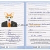 San Marino dog Fake PSD Passport | Instant Download