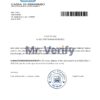 Download San Marino Cassa di Risparmio Bank Reference Letter Templates | Editable Word