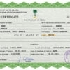 Authentic Saudi Arabia Birth Certificate Template | Customize and Download Online