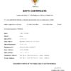 Authentic Senegal Birth Certificate Template | Customize and Download Online