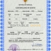 Authentic Senegal Birth Certificate Template | Customize and Download Online