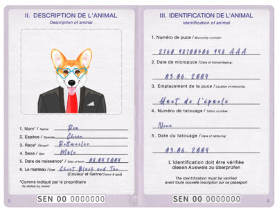 Senegal dog Fake PSD Passport | Instant Download