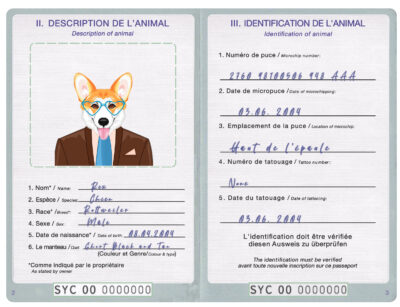 Seychellas dog Fake PSD Passport | Instant Download