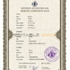 Authentic Seychelles Birth Certificate Template | Customize and Download Online