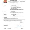 Authentic Singapore Birth Certificate Template | Customize and Download Online