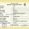 Authentic Solomon Birth Certificate Template | Customize and Download Online